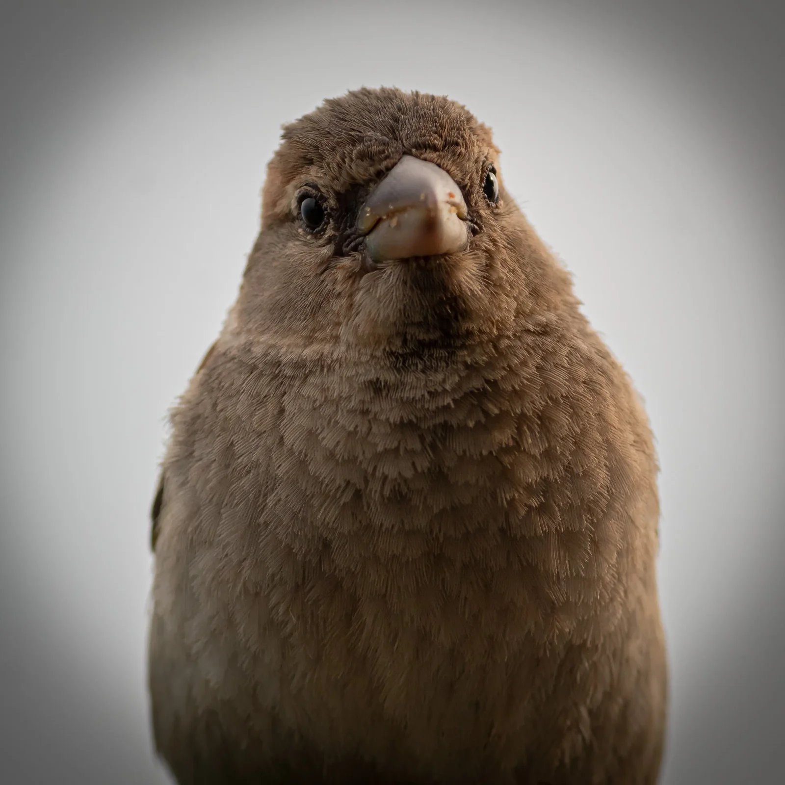 nature photography by JRMGraphy